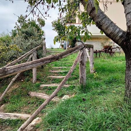 Casa Il Canto Tortoreto Bagian luar foto