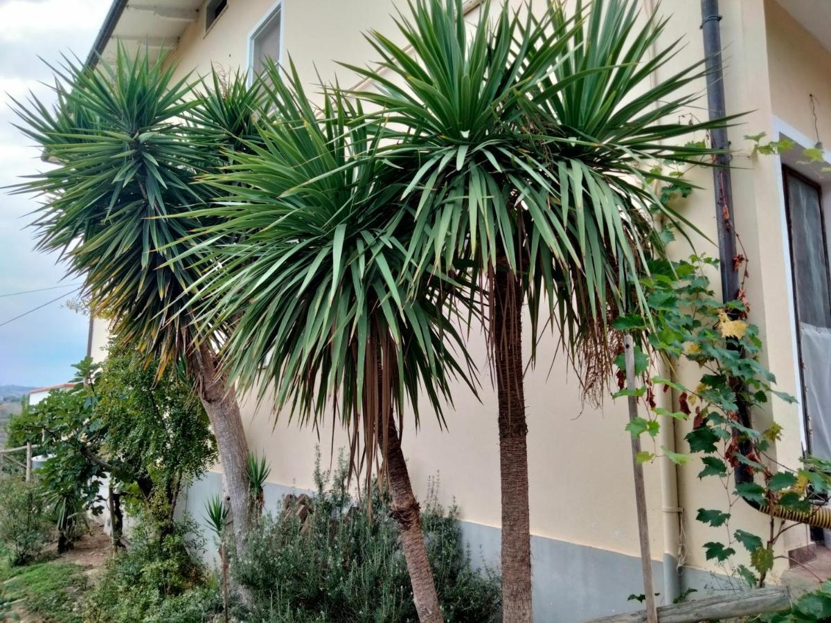 Casa Il Canto Tortoreto Bagian luar foto